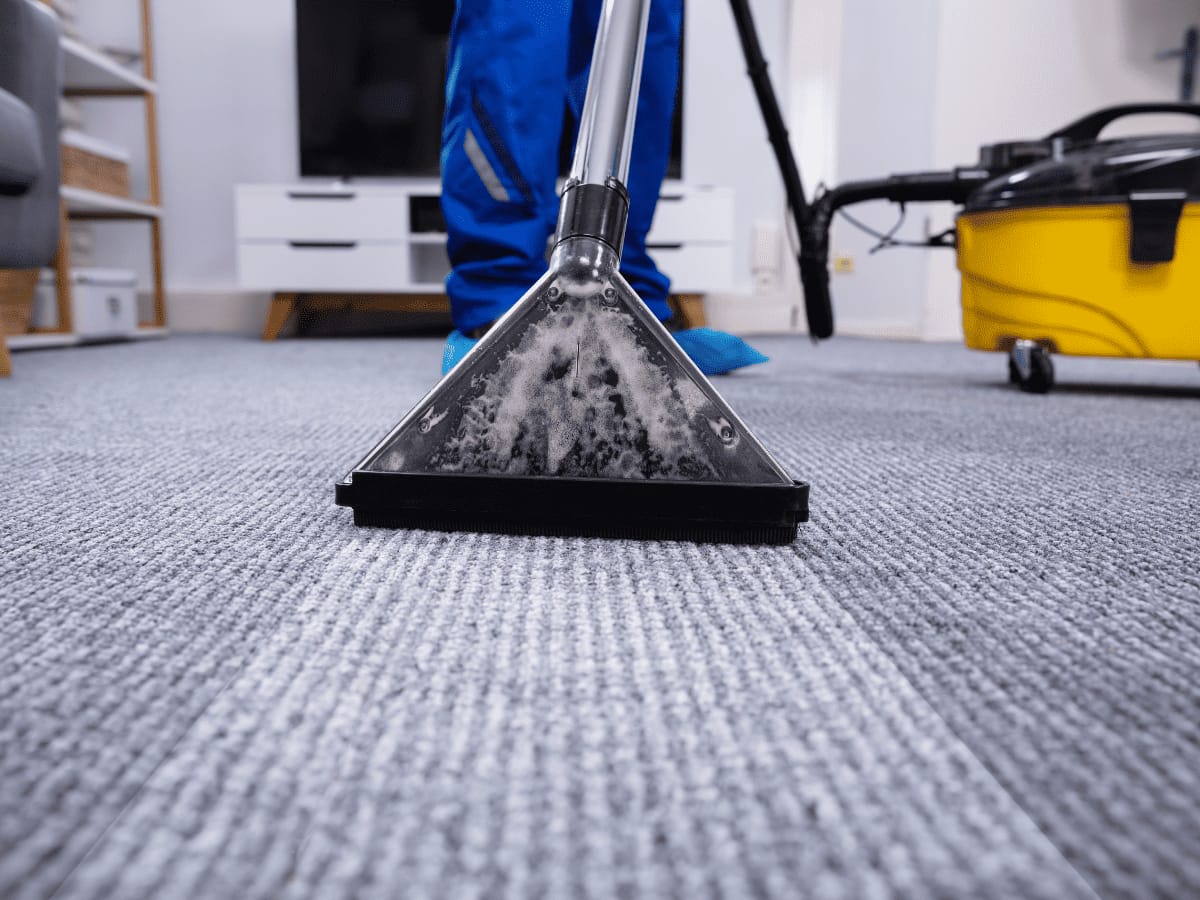 Odor Removal Dog Urine Carpet Treatment Placer County Services
